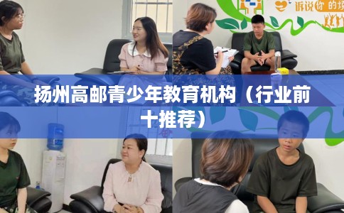 扬州高邮青少年教育机构（行业前十推荐）