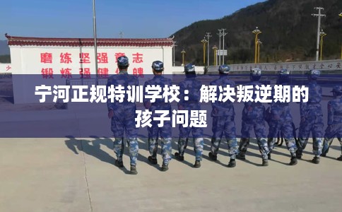宁河正规特训学校：解决叛逆期的孩子问题