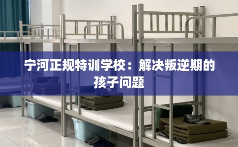 宁河正规特训学校：解决叛逆期的孩子问题