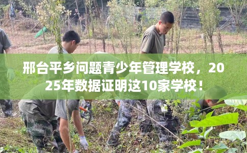 邢台平乡问题青少年管理学校，2025年数据证明这10家学校！