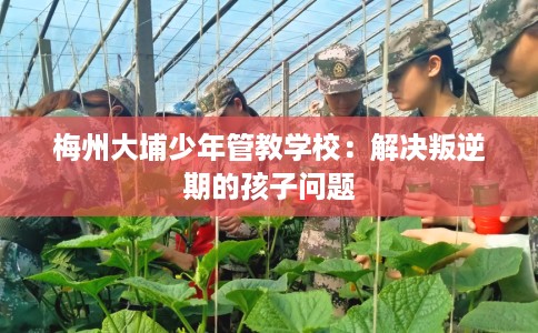 梅州大埔少年管教学校：解决叛逆期的孩子问题