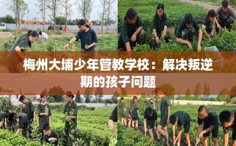 梅州大埔少年管教学校：解决叛逆期的孩子问题