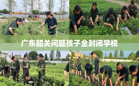 广东韶关问题孩子全封闭学校