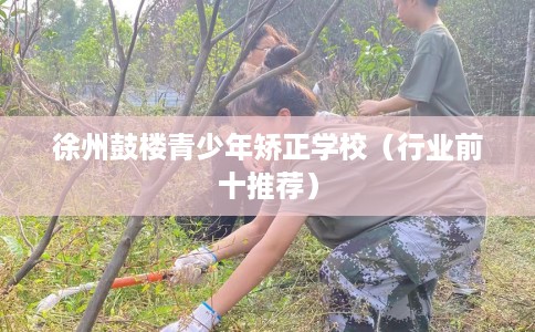 徐州鼓楼青少年矫正学校（行业前十推荐）