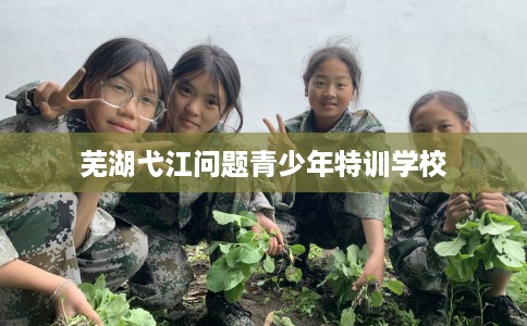 芜湖弋江问题青少年特训学校