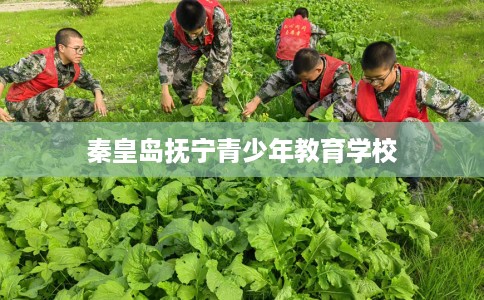 秦皇岛抚宁青少年教育学校