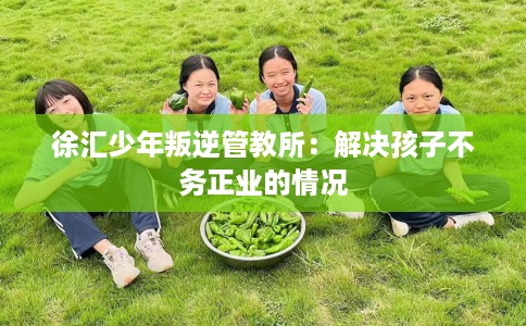 徐汇少年叛逆管教所：解决孩子不务正业的情况