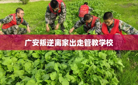 广安叛逆离家出走管教学校