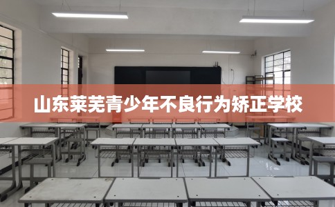 山东莱芜青少年不良行为矫正学校