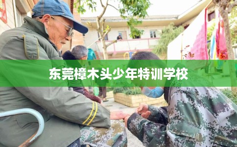 东莞樟木头少年特训学校