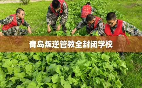 青岛叛逆管教全封闭学校