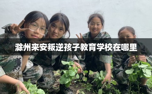 滁州来安叛逆孩子教育学校在哪里