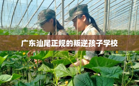 广东汕尾正规的叛逆孩子学校