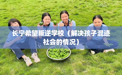 长宁希望叛逆学校（解决孩子混迹社会的情况）