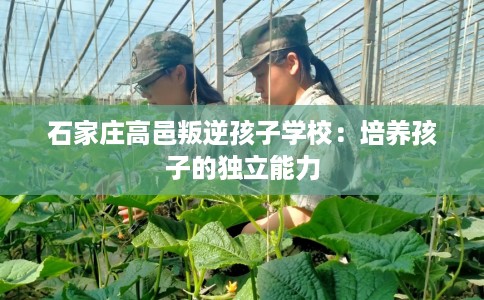 石家庄高邑叛逆孩子学校：培养孩子的独立能力