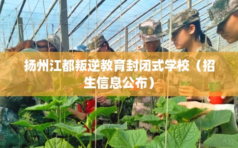 扬州江都叛逆教育封闭式学校（招生信息公布）