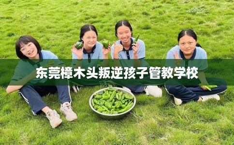 东莞樟木头叛逆孩子管教学校