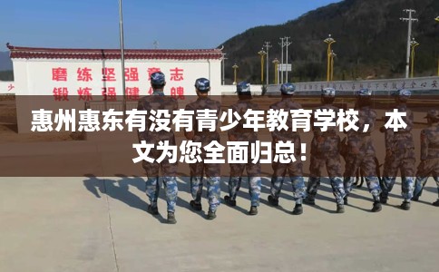 惠州惠东有没有青少年教育学校，本文为您全面归总！