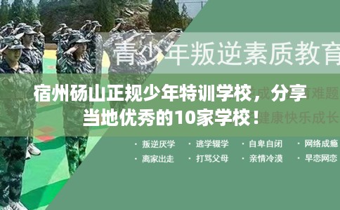 宿州砀山正规少年特训学校,分享当地优秀的10家学校! 宿州砀山正规少年特训学校,分享当地优秀的10家学校!