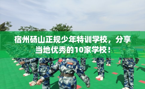 宿州砀山正规少年特训学校,分享当地优秀的10家学校! 宿州砀山正规少年特训学校,分享当地优秀的10家学校!