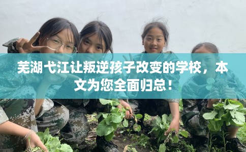 芜湖弋江让叛逆孩子改变的学校，本文为您全面归总！