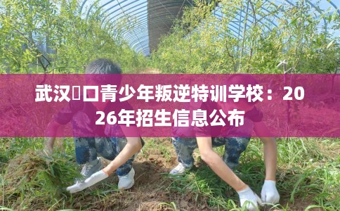 武汉硚口青少年叛逆特训学校：2026年招生信息公布