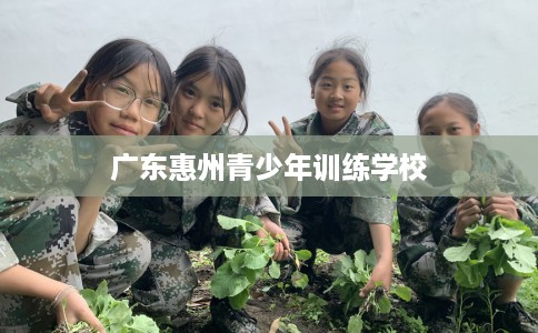 广东惠州青少年训练学校