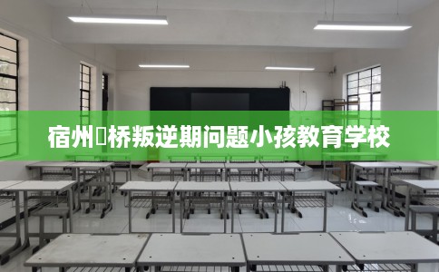 宿州埇桥叛逆期问题小孩教育学校
