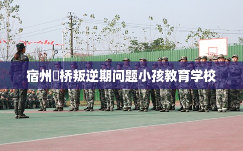 宿州埇桥叛逆期问题小孩教育学校