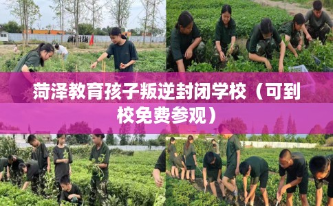 菏泽教育孩子叛逆封闭学校（可到校免费参观）
