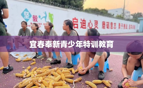 宜春奉新青少年特训教育