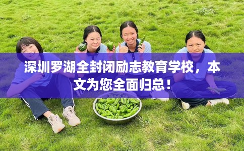 深圳罗湖全封闭励志教育学校，本文为您全面归总！
