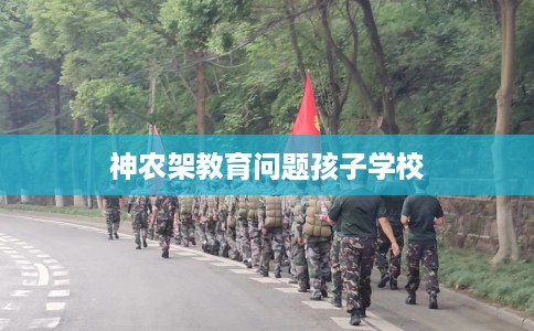神农架教育问题孩子学校
