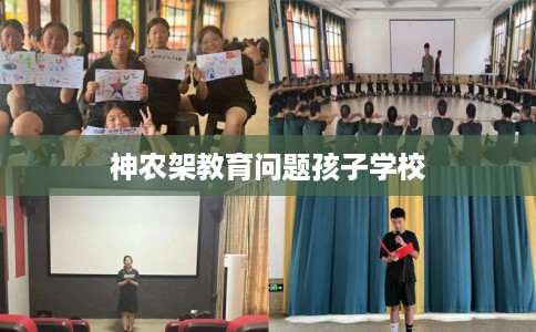 神农架教育问题孩子学校