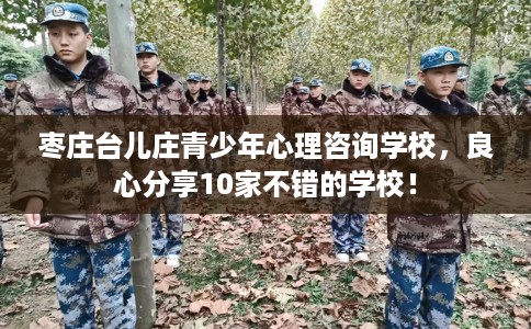 枣庄台儿庄青少年心理咨询学校，良心分享10家不错的学校！
