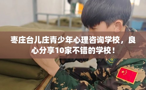 枣庄台儿庄青少年心理咨询学校，良心分享10家不错的学校！