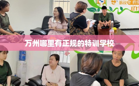 万州哪里有正规的特训学校
