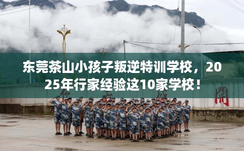 东莞茶山小孩子叛逆特训学校，2025年行家经验这10家学校！