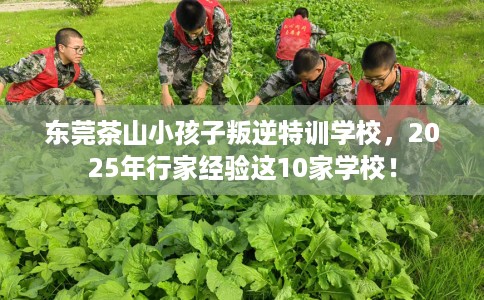 东莞茶山小孩子叛逆特训学校，2025年行家经验这10家学校！