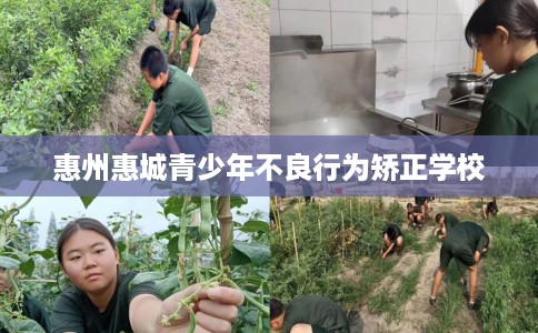 惠州惠城青少年不良行为矫正学校