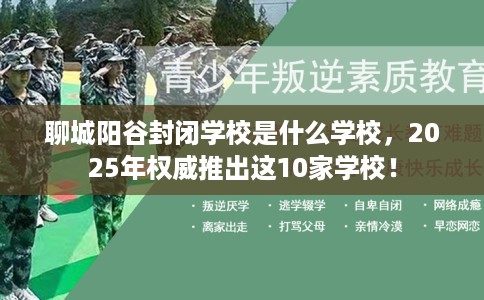聊城阳谷封闭学校是什么学校，2025年权威推出这10家学校！