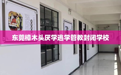 东莞樟木头厌学逃学管教封闭学校