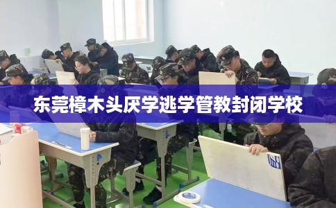 东莞樟木头厌学逃学管教封闭学校