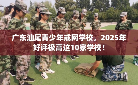 广东汕尾青少年戒网学校，2025年好评极高这10家学校！