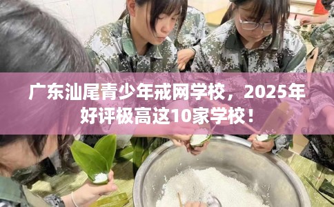 广东汕尾青少年戒网学校，2025年好评极高这10家学校！