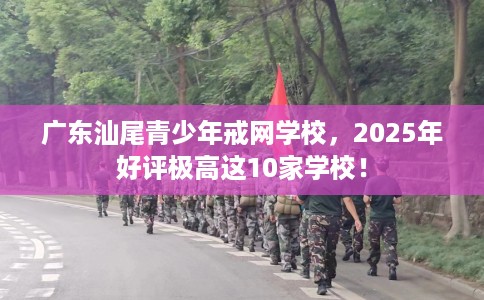 广东汕尾青少年戒网学校，2025年好评极高这10家学校！