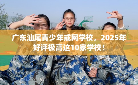 广东汕尾青少年戒网学校，2025年好评极高这10家学校！