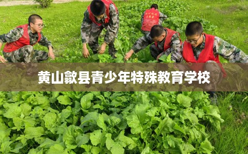 黄山歙县青少年特殊教育学校