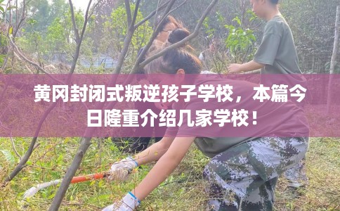 黄冈封闭式叛逆孩子学校，本篇今日隆重介绍几家学校！