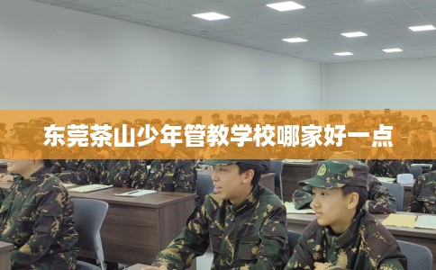 东莞茶山少年管教学校哪家好一点